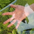 thumbnail image 2 of Bâche Transparente Extérieure, Bâche en Vinyle Transparent pour Pergola de Patio Jardin, Résistant à la Chaleur, Résistant aux Déchirures, Imperméable et Coupe-Vent pour Balcons Toits (0.35mm), 2 of 7