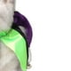 thumbnail image 4 of 2 collares delicados y hermosos para Halloween para mascotas, para fiestas, talla S (negro, verde y morado), 4 of 6