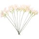 thumbnail image 1 of unbranded 10Ud Ramos De Flores Artificiales Beige Para De Hogar Con Tallo, 1 of 8