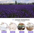 thumbnail image 4 of Bolsitas de flores secas de lavanda CoolCrafts para bodas, 500 g, 4 of 6