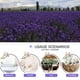thumbnail image 4 of Bolsitas de flores secas de lavanda CoolCrafts para bodas, 500 g, 4 of 6