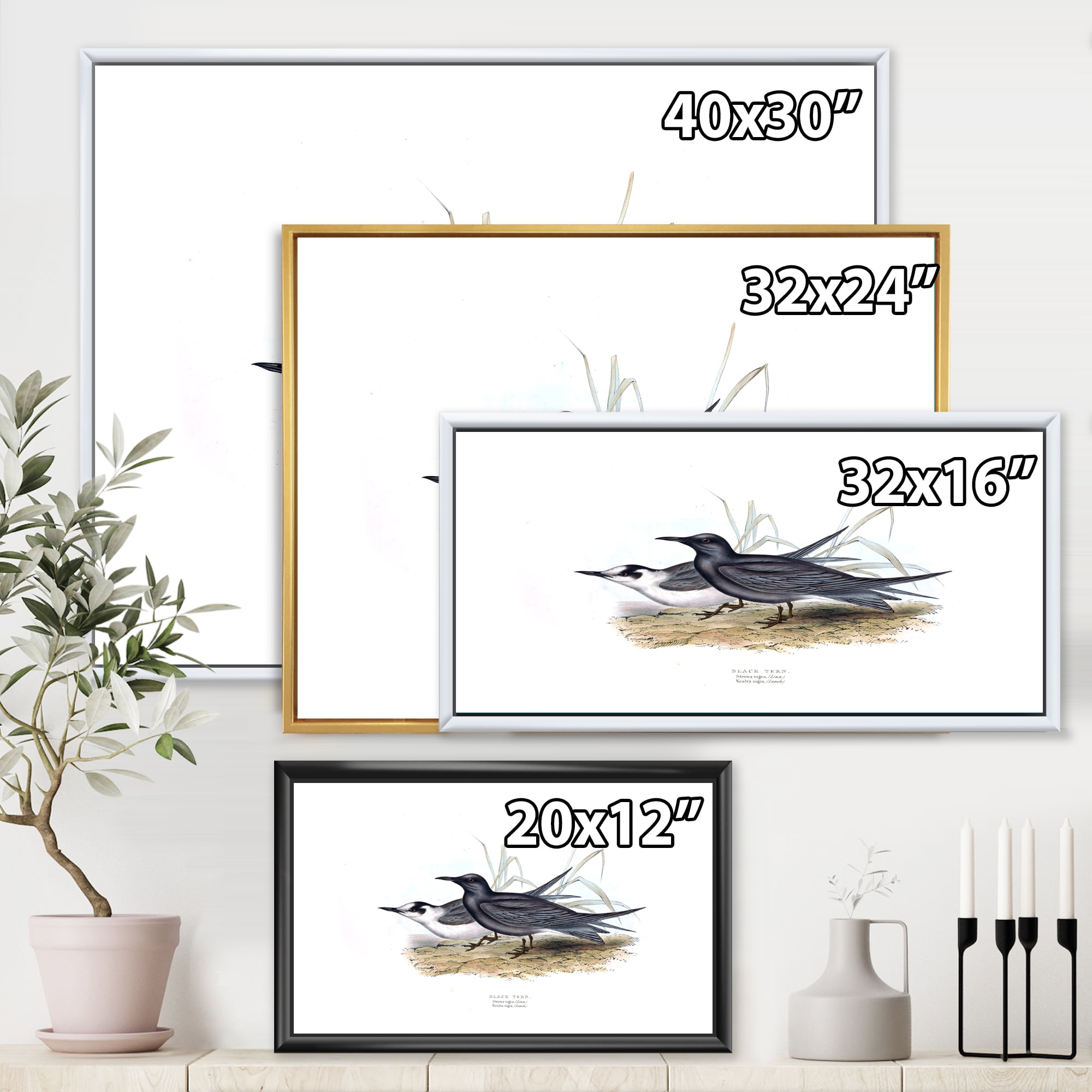 Ancient Bird Of Europe II 20 in x 12 in Framed Painting Canvas Art Print, by Designart