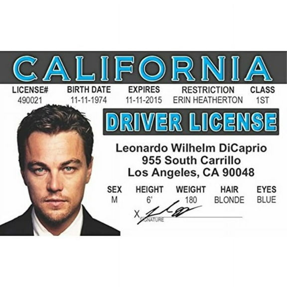 signs 4 fun ncid leo decaprio's driver's license