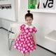thumbnail image 1 of Vestido de princesa de verano para niños, vestidos florales de crisantemo para niñas, falda plisada estampada de estilo pastoral, ropa informal 1-7Y100 (2-3T) Gao Jinjia LED, 1 of 2