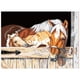 thumbnail image 1 of 16 x 20 pulgadas DIY Pintura al óleo sobre lienzo Pintura por número Kit Caballo Animal Patrón para Abanopi Tipo 4, 1 of 7