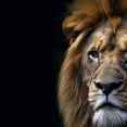 thumbnail image 6 of WYYP A Majestic Lion Round Tablecloth 100% Polyester Fiber Waterproof White, 6 of 8