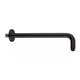 thumbnail image 1 of Brazo De Regadera Negro Mate 30cm Acero Inox 304 Chapeton, 1 of 4