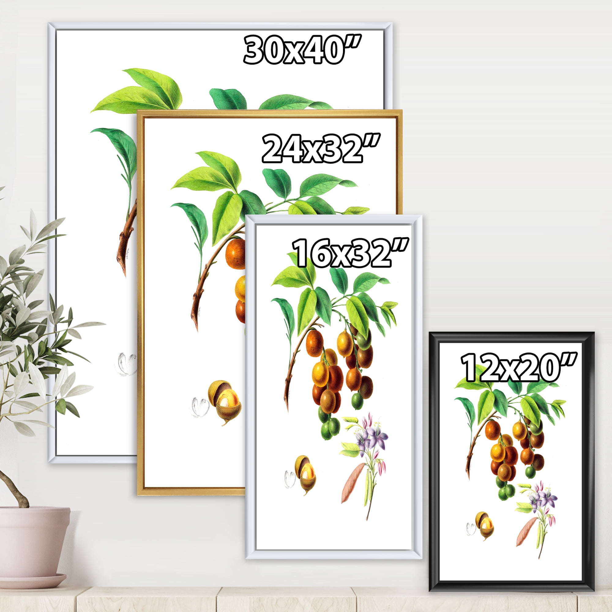 Designart 'Ancient Fruits III' Farmhouse Framed Canvas Wall Art Print