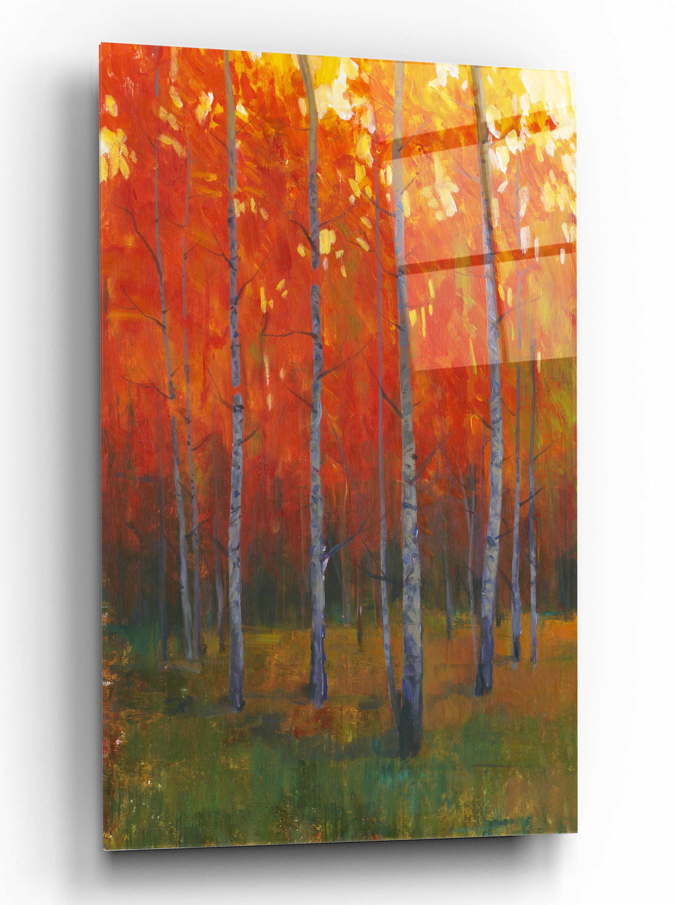 Changing Colors Autumn Forest Canvas Wall Art 12" x 16"