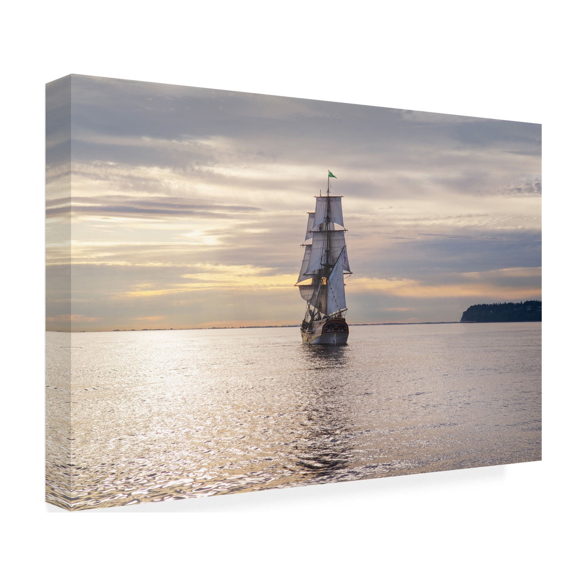 Trademark Fine Art 'Lady Washington III' Canvas Art by Alan Majchrowicz