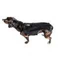 thumbnail image 3 of Dog Back Brace for IVDD,Pet Dog Back Brace Comfortable Dog Back M, 3 of 5