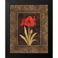 thumbnail image 2 of Brent, Paul 12x14 Black Modern Framed Museum Art Print Titled - Damask Amaryllis, 2 of 5