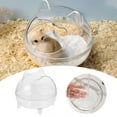 Delve Into The Exclusive Transparent Sand Bath For Golden Hamsters A