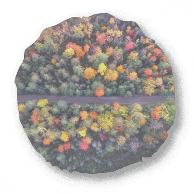 Colorful Forestry Science Nature Scenery Round Throw Pillow Home Decoration Cushion