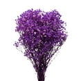 thumbnail image 1 of Flores secas de aliento de bebés Unique Bargains 17 Pulgadas Púrpura 1uds, 1 of 6