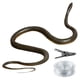 thumbnail image 1 of Broma Juguete Realista Creativo 47 2 Pulgadas Accesorios Halloween, 1 of 9