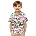 thumbnail image 7 of OGLCCG Boy's Hawaiian Shirt Tropical Casual Summer Beach Shirt with Pocket Short Sleeve Casual Button Down Tops for Youth Kids 2-15 Years, 7 of 7