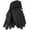 Black, variant on Softshell Glove
