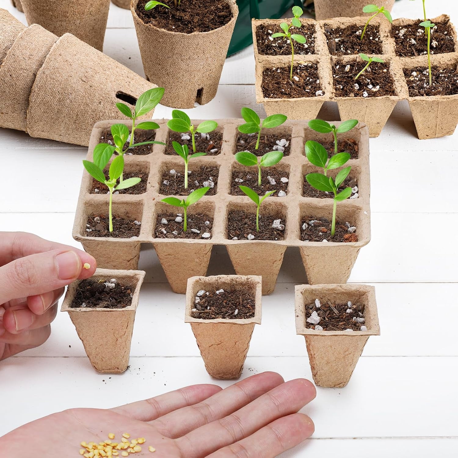 15 Packs Seedling Starter Trays 180 Cells, Biodegradable Seed Germination Trays Plant Starter Peat Pots for Seedlings