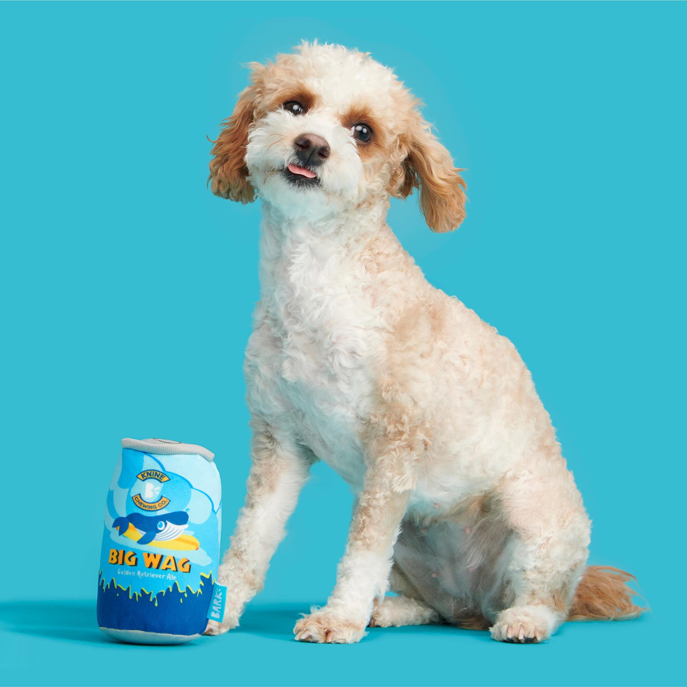 BARK Surf Beer Can Plush Blue, Yellow, and Silver Dog Toy All Sizes
