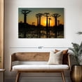 thumbnail image 3 of Elephant Stock Silhouetted Morondava Baobab Trees Wall Art - Horizontal Canvas Wall Art - Living Room Wall Decor - Floral And Botanical Canvas - Black And Orange Decor - 45" x 30", 3 of 8