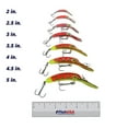 thumbnail image 4 of Worden's Lures Mag Lip 3.0, 4 of 5