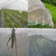thumbnail image 2 of Red de invernadero a prueba de insectos para el cuidado de frutas y verduras, malla de control de aves, red de seguridad para jardín, cubierta protectora para verduras, 2 of 7