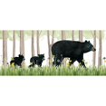 thumbnail image 3 of Popp, Grace 24x13 Black Modern Framed Museum Art Print Titled - Woodland Babes Collection D, 3 of 5