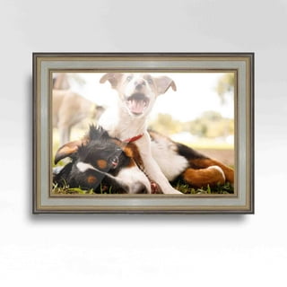 12 x 2024 36 frame