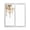 Brown, variant on Blue Eucalyptus Leaves Window Privacy Film, Summer Farmhouse Botanical Static Cling UV Sun Blocking Tint Film Heat Control Windows Films for Bedroom Bathroom, Window Stickers 17.7"x39.3"