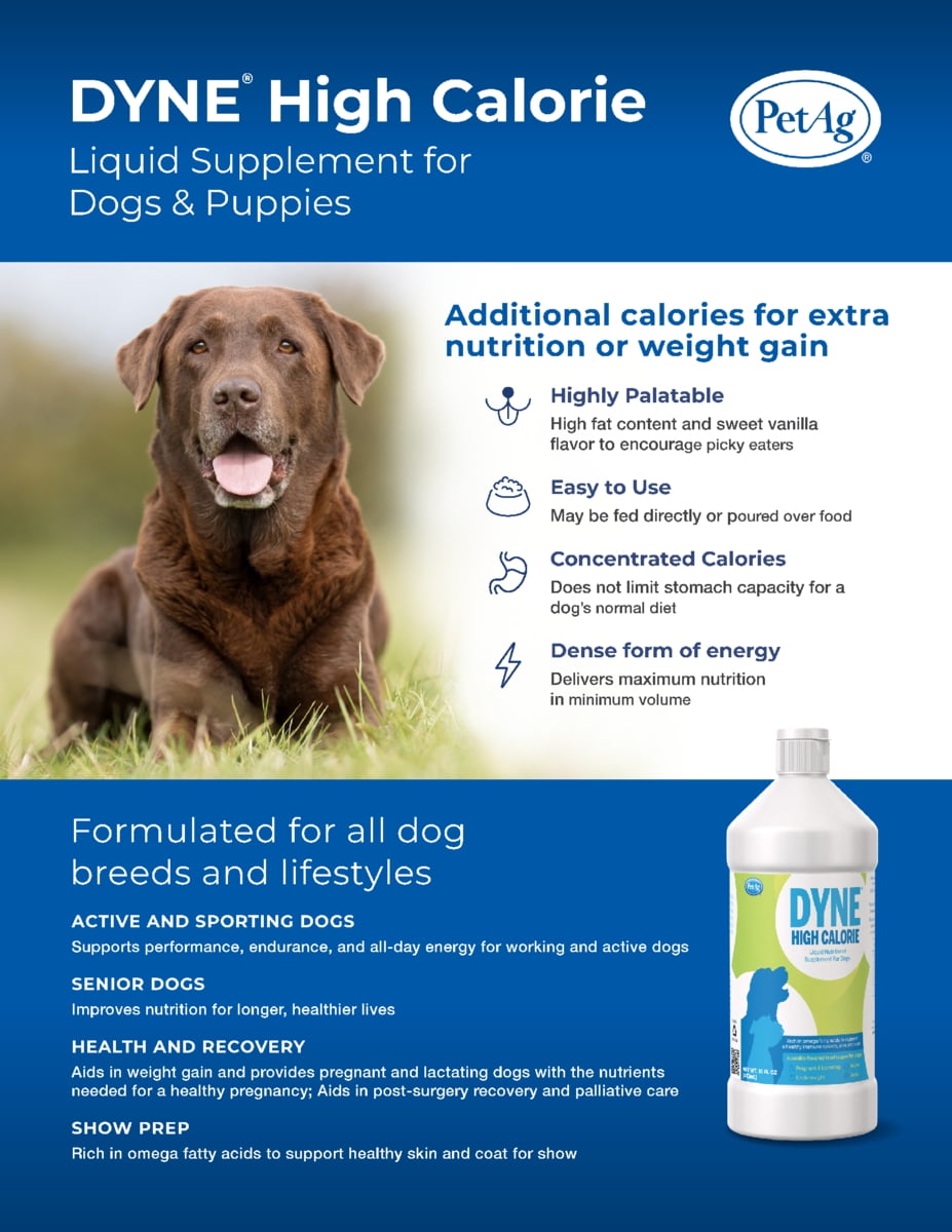 PetAg Dyne High Calorie Liquid Nutritional Supplement for Dogs and