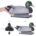 thumbnail image 3 of Modèles Réalistes de Canard Colvert Que les Amateurs de Chasse Adorent comme Leurres et Ornements, 3 of 8