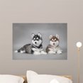 thumbnail image 1 of Siberian Husky Dog Puppies Wall Mural by Wallmonkeys Peel and Stick Graphic (24 in W x 16 in H) WM24318, 1 of 4