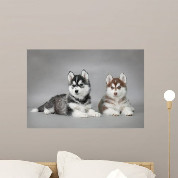 Siberian Husky Dog Puppies Wall Mural by Wallmonkeys Peel and Stick Graphic (24 in W x 16 in H) WM24318