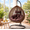 Brown, variant on Ciphrias Hanging Chair with Stand, Black Beige HDPE Woven Seat with Cushion, Foldable Frame for Indoor Outdoor Garden Balcony