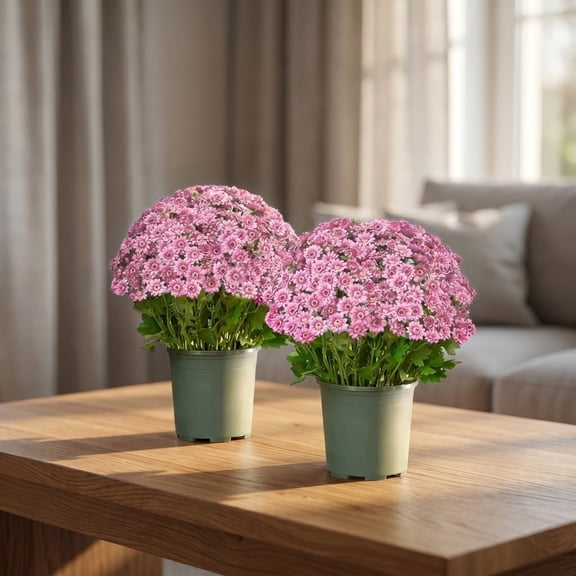 MERRYSO Artificial Chrysanthemums 5 Bundles,21 Heads,Pink Purple Faux Mums for Home Decor