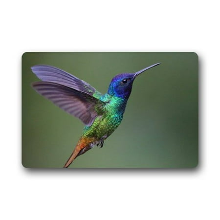 - WinHome Beautiful Hummingbird Doormat Floor Mats Rugs Outdoors/Indoor Doormat Size 23.6x15.7 inches