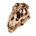 thumbnail image 7 of UDIYO Individuality Unique Resin Dinosaurs Skull Model for Indoor, 7 of 7