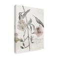 thumbnail image 2 of Trademark Fine Art 'Soft Hummingbirds II' Canvas Art by Studio W, 2 of 4