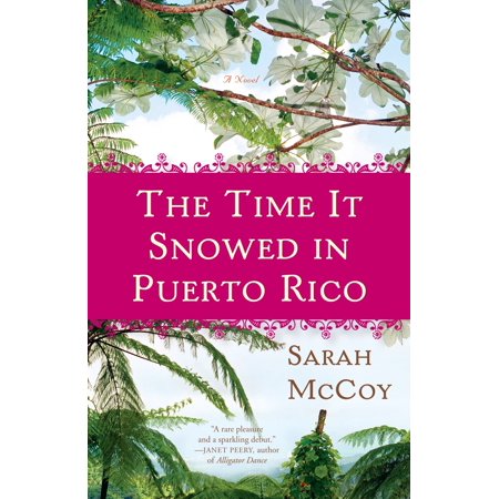The Time It Snowed in Puerto Rico : A Novel (Best Time To Visit Puerto Rico 2019)