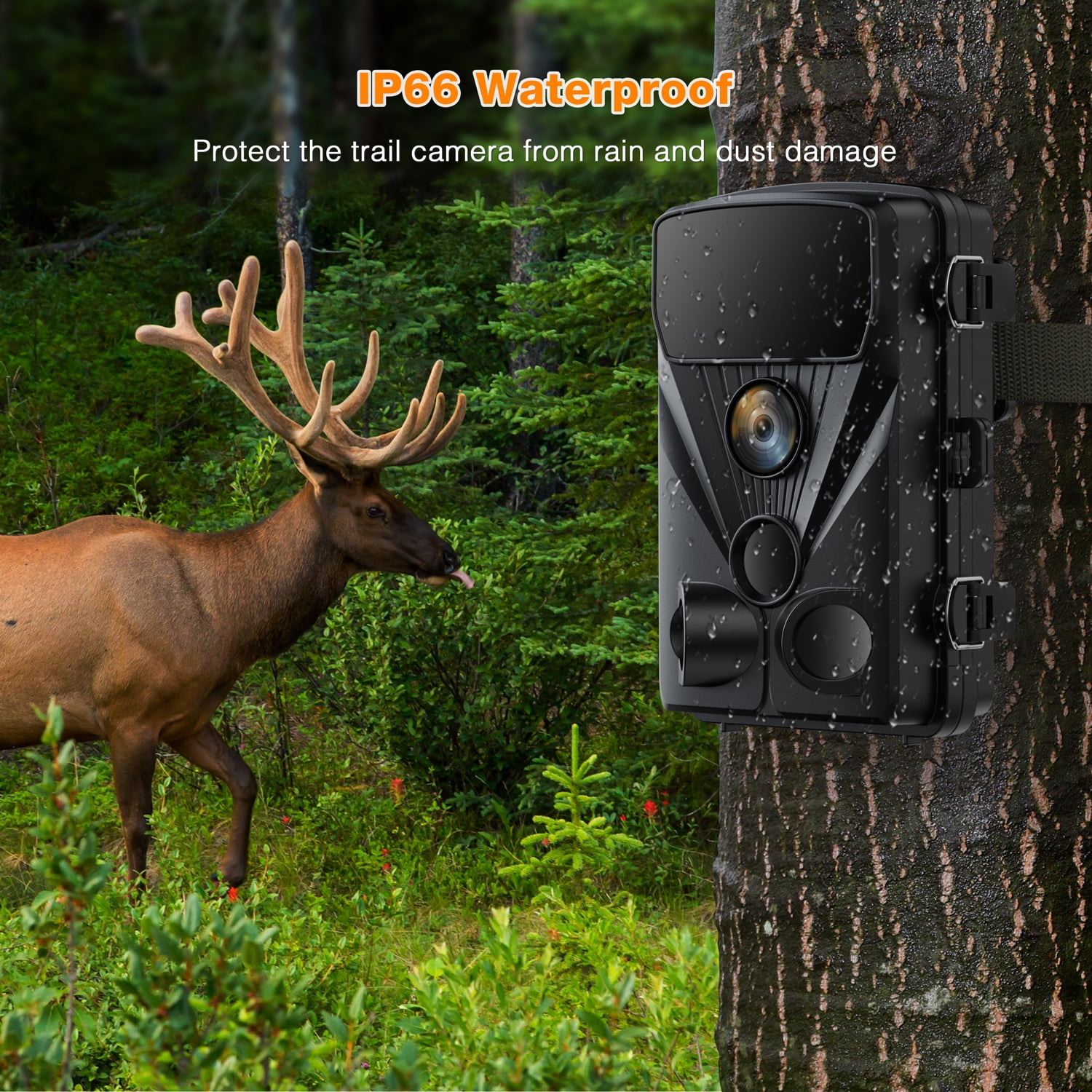 CAMPARK WiFi Trail Camera 42MP 4K LITE Game Camera with Infrared Nigh Vision Motion Activated Waterproof IP66 with 2.4″LCD Hunting Trail Cam 120°Wider Detection Angle for Wildlife Monitoring