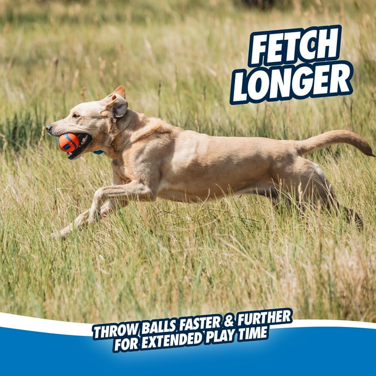 Chuckit! Ultra Tug Ball Fetch and Tug Toy, Small 2" photo 7