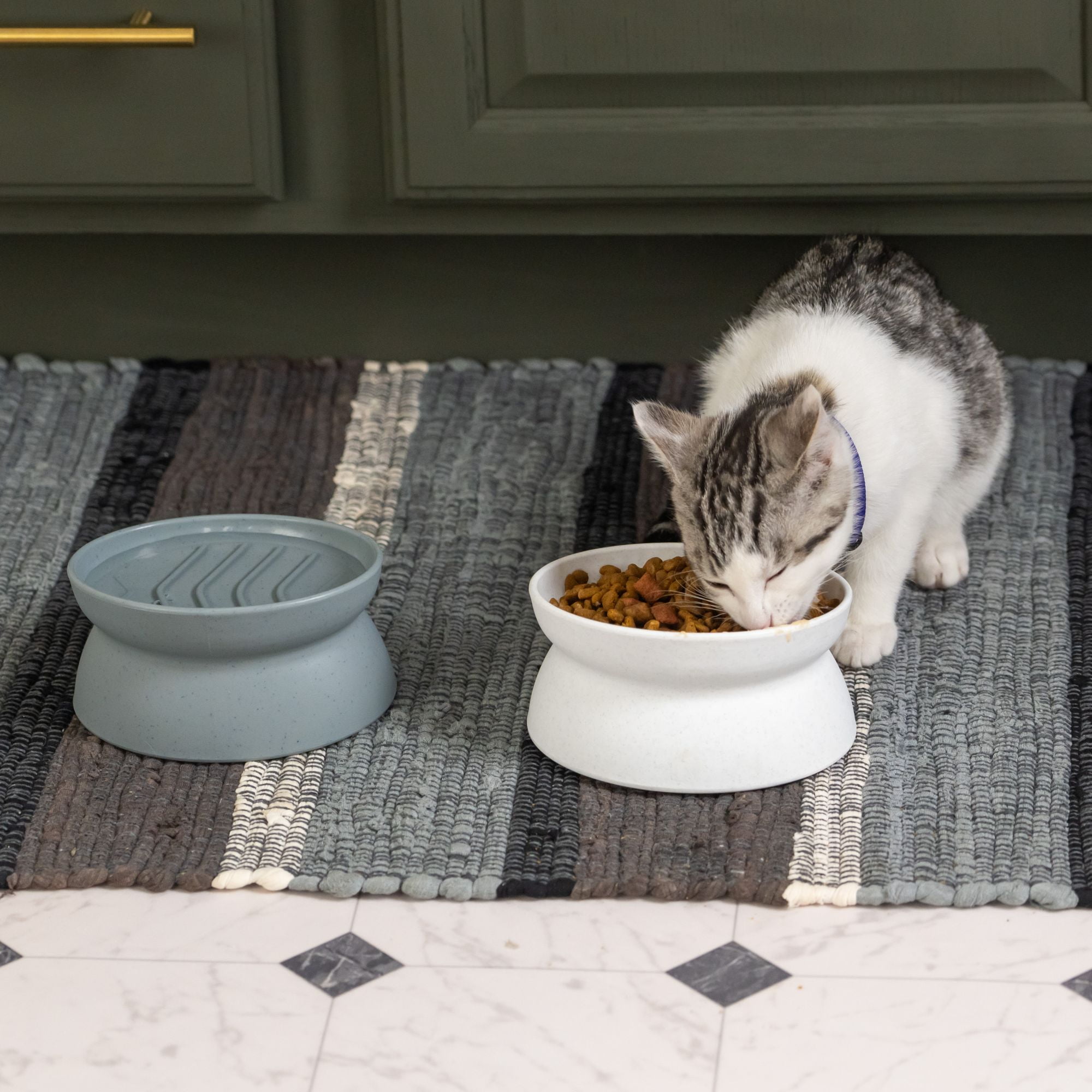 Kitty City Raised Slow-Eat Cat Bowls, Whisker-Friendly Elevated Feeding Set, 2-Pack, Small
