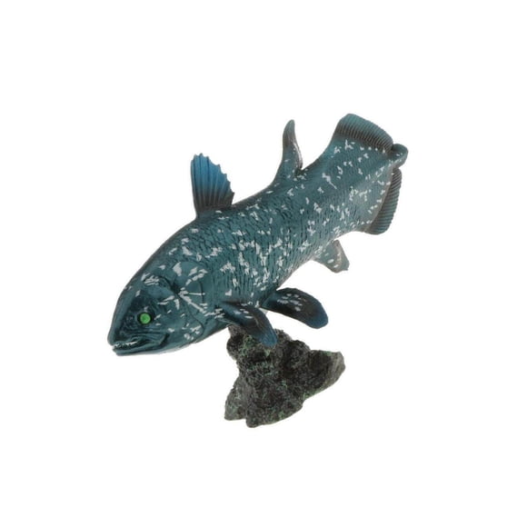 Realistic Static Ocean Animal Model Favors Ocean Animal Toys Toy Kids Gift Latimeria with Base