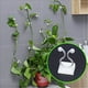 thumbnail image 5 of 50 piezas de clips para fijación de plantas trepadoras, clips adhesivos para enredaderas de jardín, soporte fijo para enredaderas de pared, 5 of 10