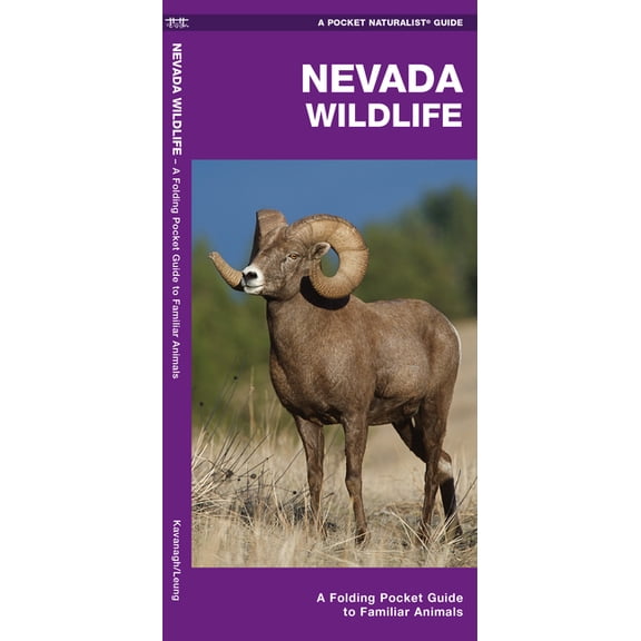 Wildlife and Nature Identification: Nevada Wildlife : A Folding Pocket Guide to Familiar Animals (Other)