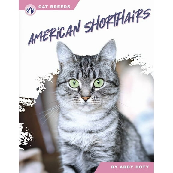 American Shorthairs, (Paperback)