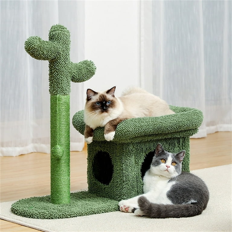 Cat tree supplies top