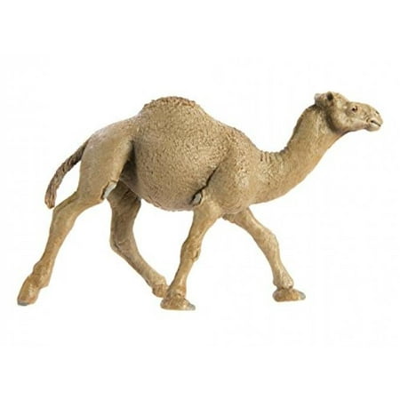 Safari Ltd Wild Safari Wildlife Dromedary Camel