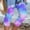003 Purple, variant on SCSAlgin Womens Athletic Cropped Pants Fashion Printed Casual Elastic Waist Beach Pants
